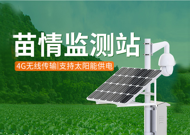 苗情监测站